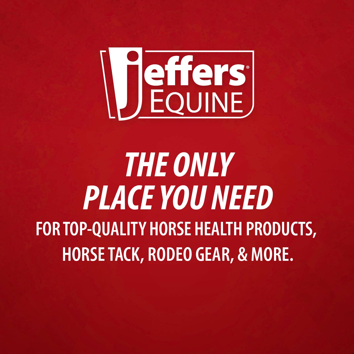 Jeffers Expression No-Turn Bell Boots for Horses, Pair, Nylon