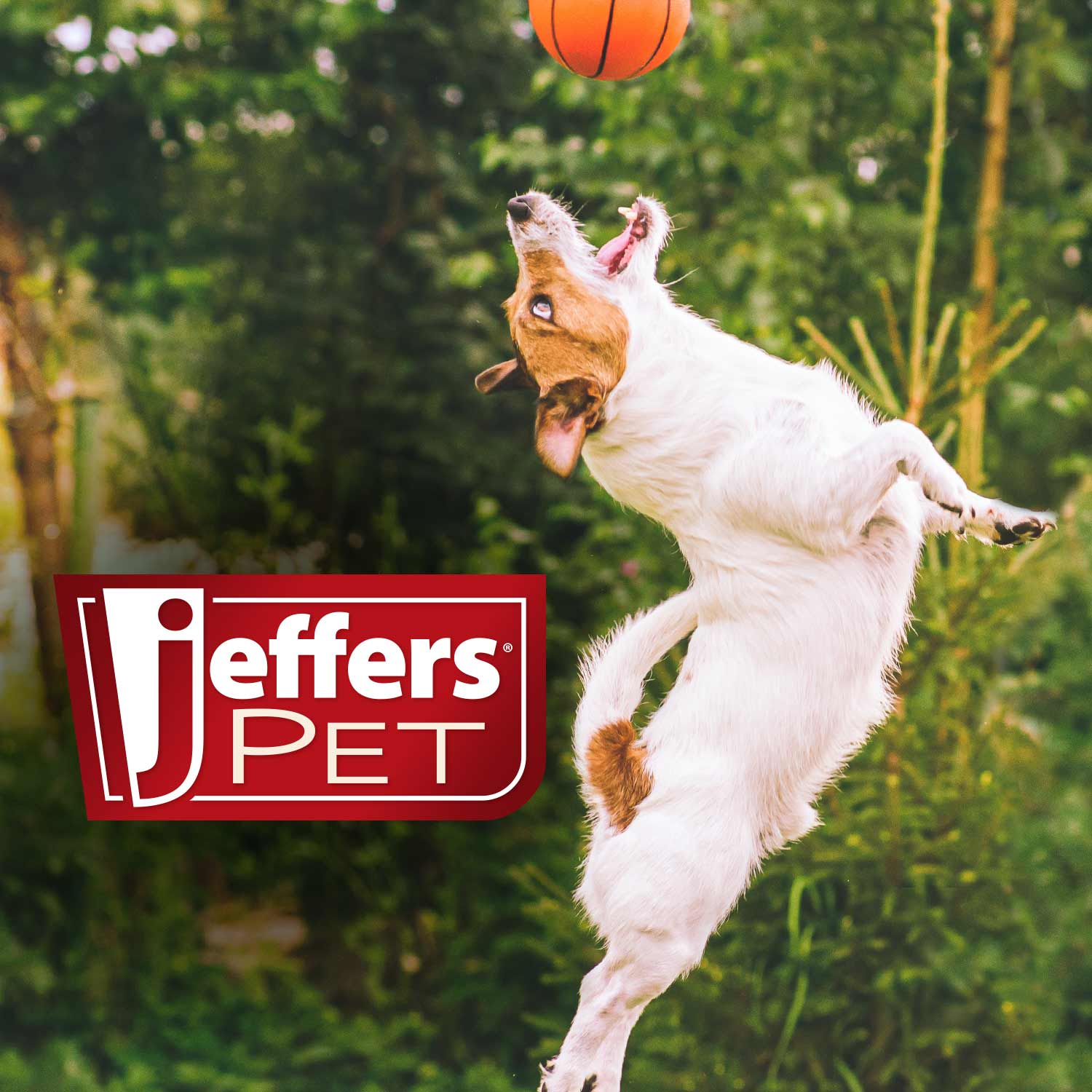 Jeffers Slice O' Pizza Crinkle & Squeak Dog Toy, Each