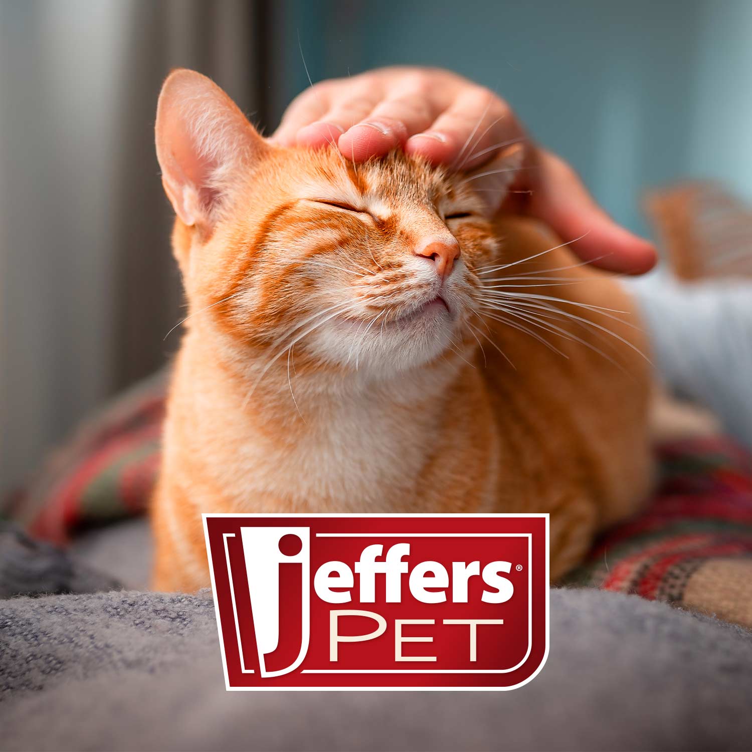 Jeffers Dual Level Pin Universal Slicker Pet Grooming Brush