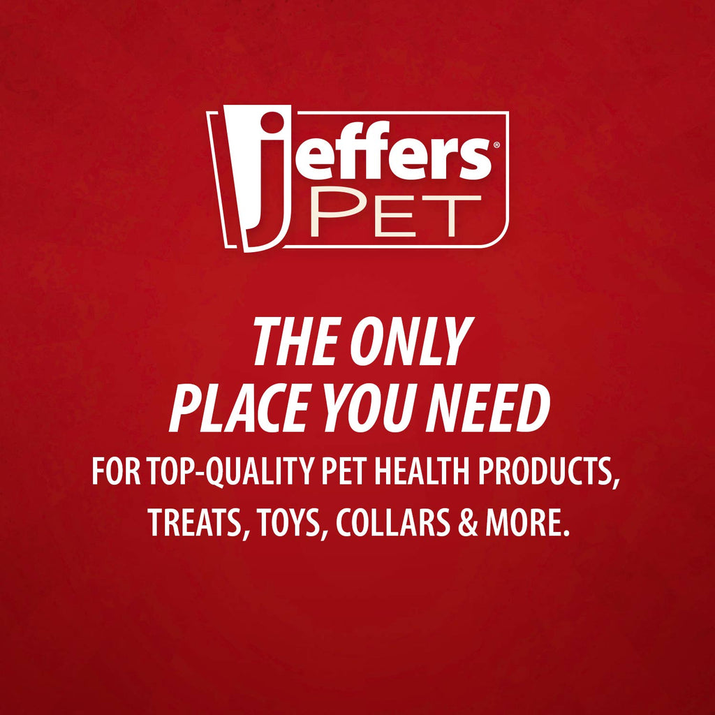 Jeffers Squeaky Strawberry Natural Rubber Dog Dental Chew Toy with Squeaker & Vanilla Scent for Medium Chewers