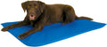 K&H Cool Bed III for Dogs