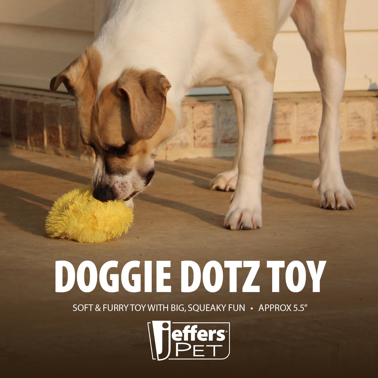 Jeffers 5" Doggie Dotz Plush Squeaker Dog Toy, Each
