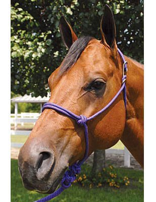 Jeffers Easy-On Clip Nylon Rope Horse Halter with Lead