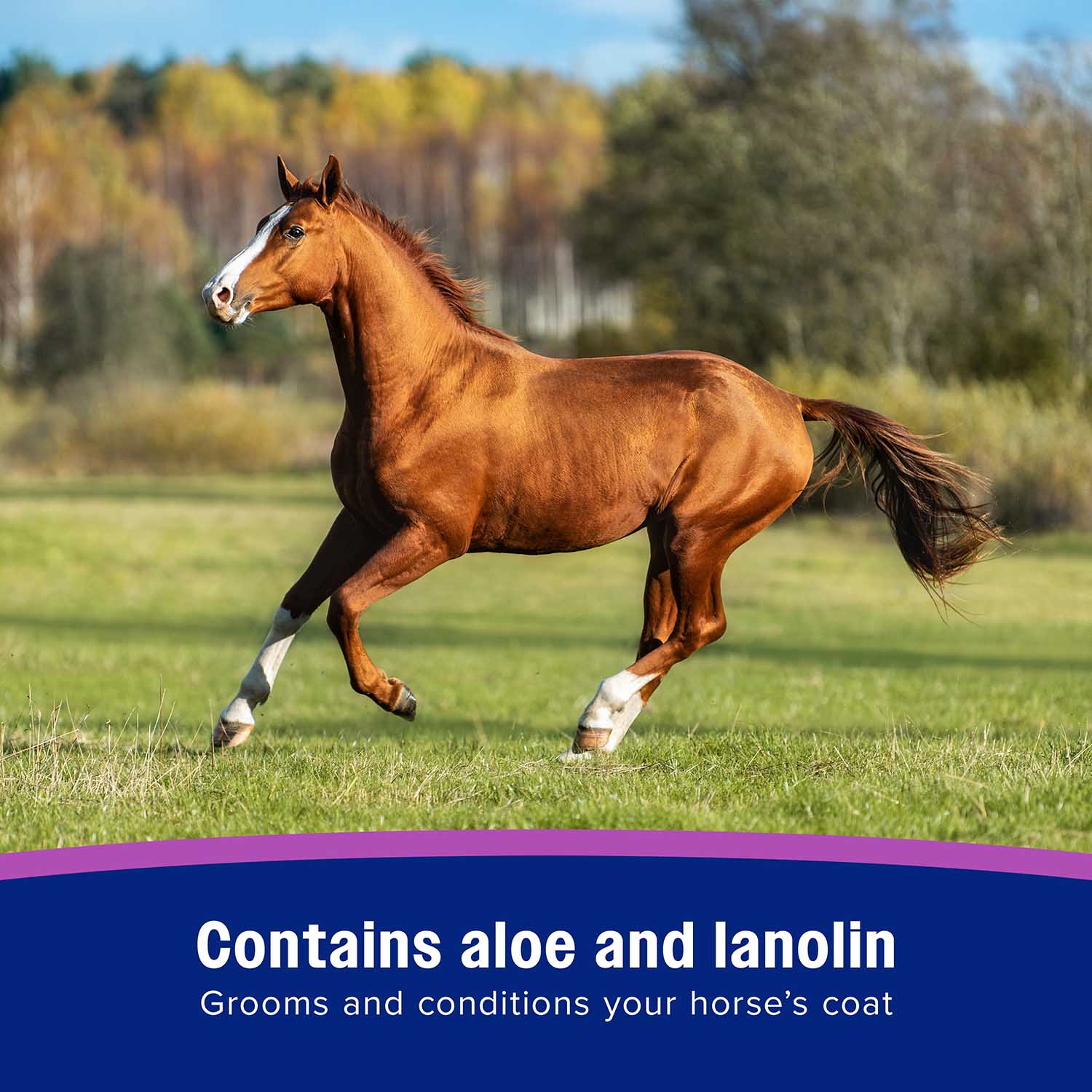 Flysect Super-7 Fly Spray