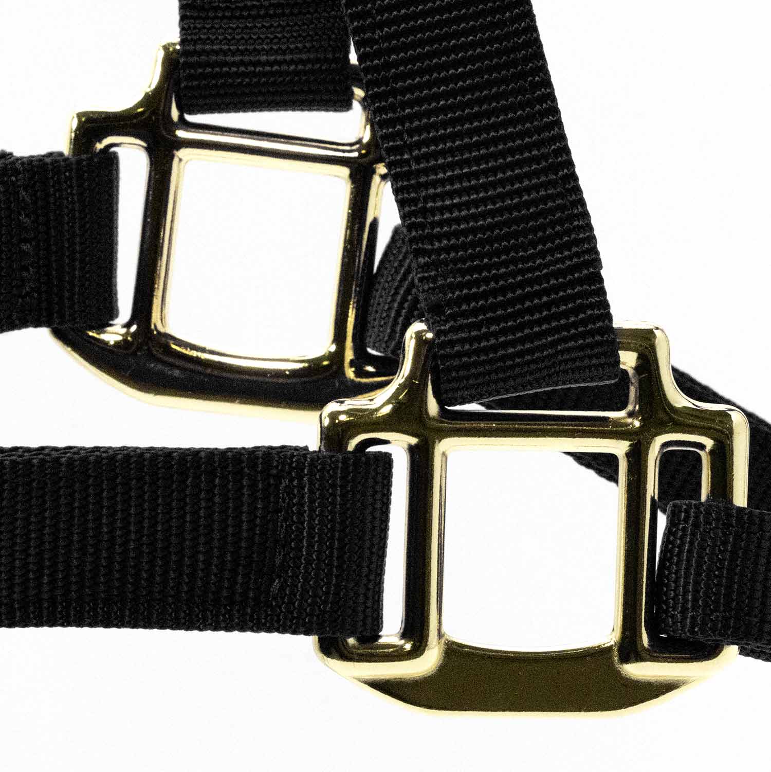 Jeffers Adjustable Halter with Throat Snap