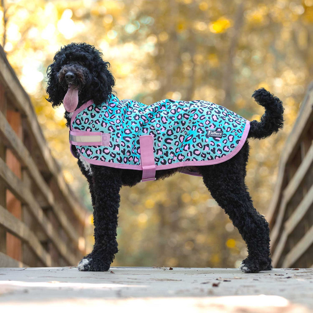 Jeffers Expression 600D Waterproof Ripstop Dog Coat, 240 Grams