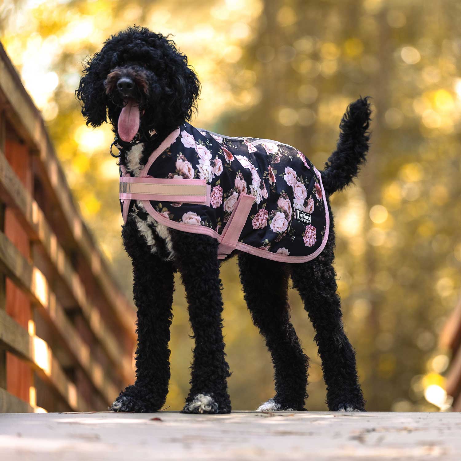 Jeffers Expression 600D Waterproof Ripstop Dog Coat, 240 Grams
