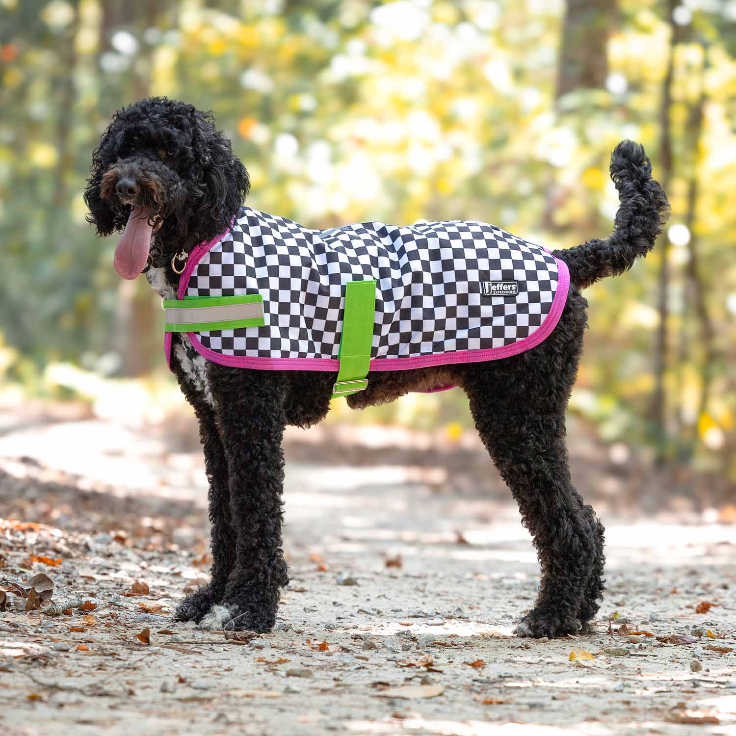 Jeffers Expression 600D Waterproof Ripstop Dog Coat, 240 Grams