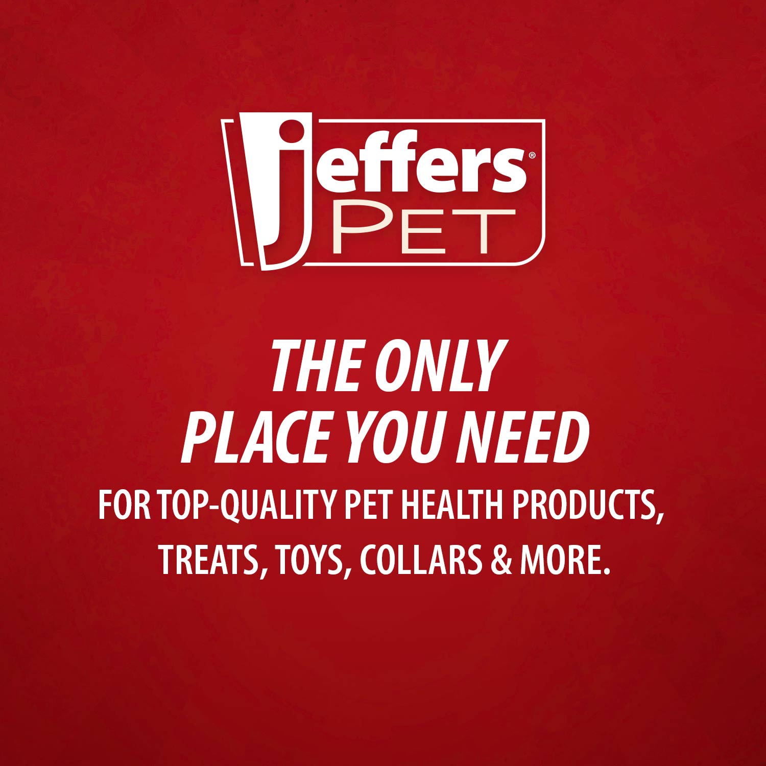 Jeffers Fuzzy Shapes Dog Toys with Squeakers, Assorted Colors
