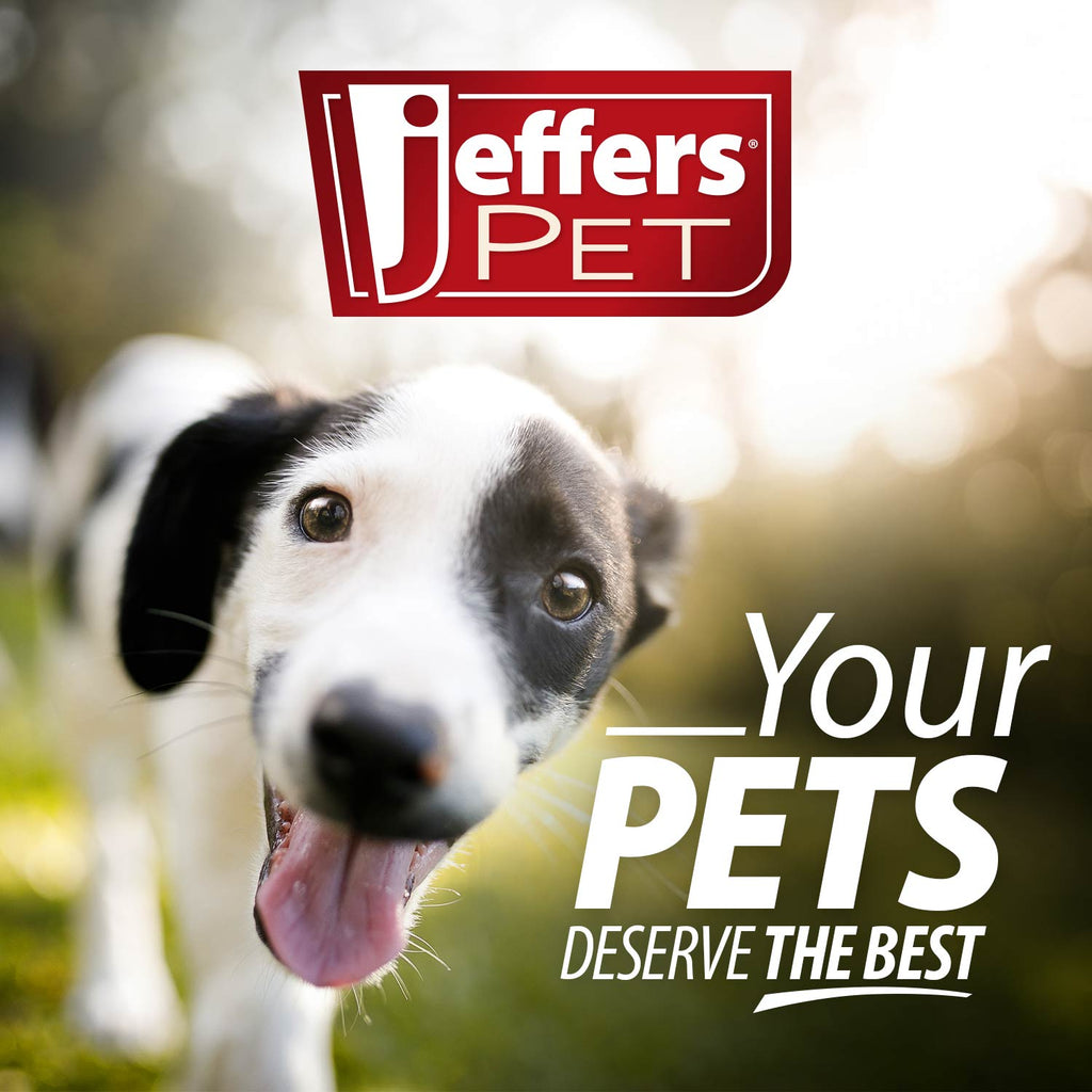 Jeffers Fuzzy Shapes Dog Toys with Squeakers, Assorted Colors