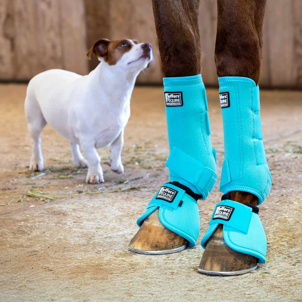 Jeffers No-Turn Bell Boots for Horses, Solid Colors, 2 Count