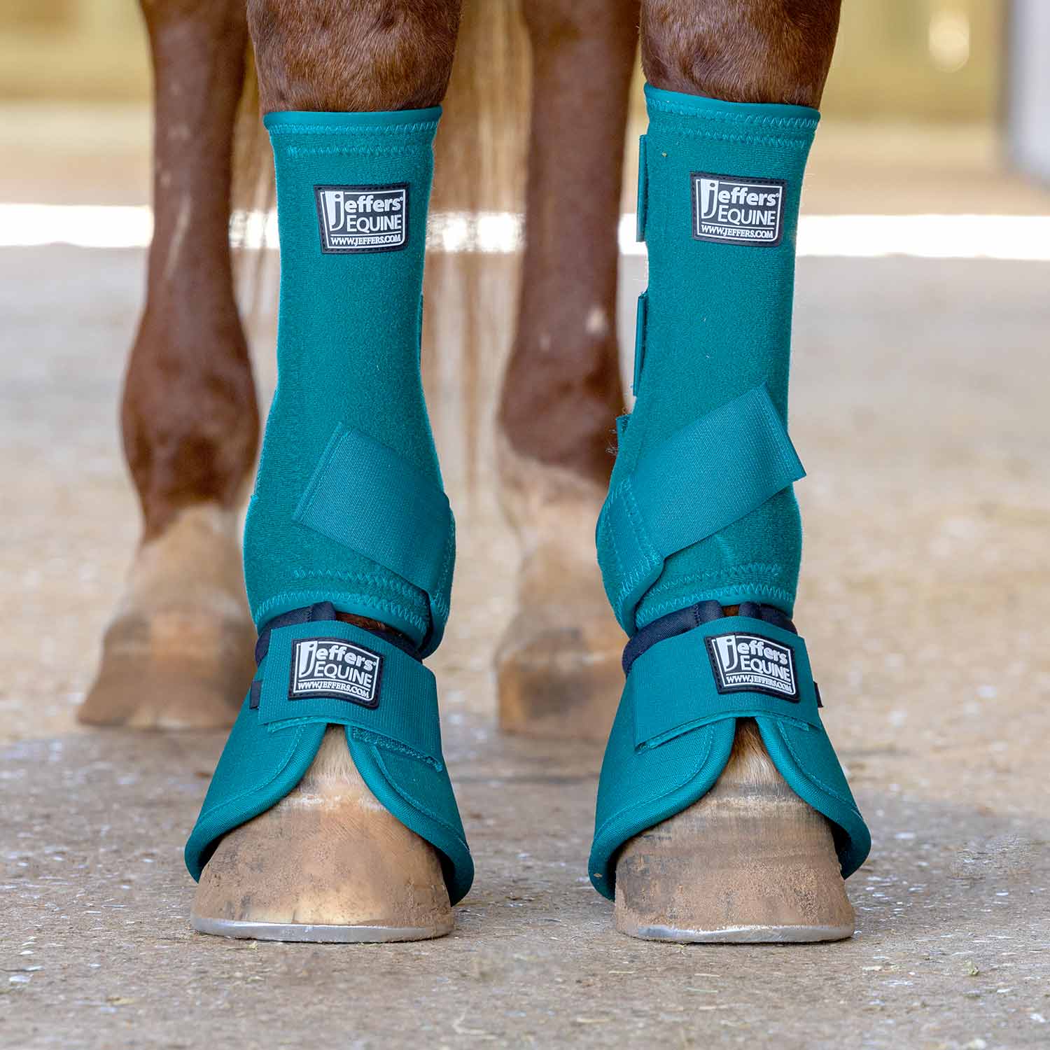Jeffers Protective Horse Boots, Solid Colors, 2-Pack