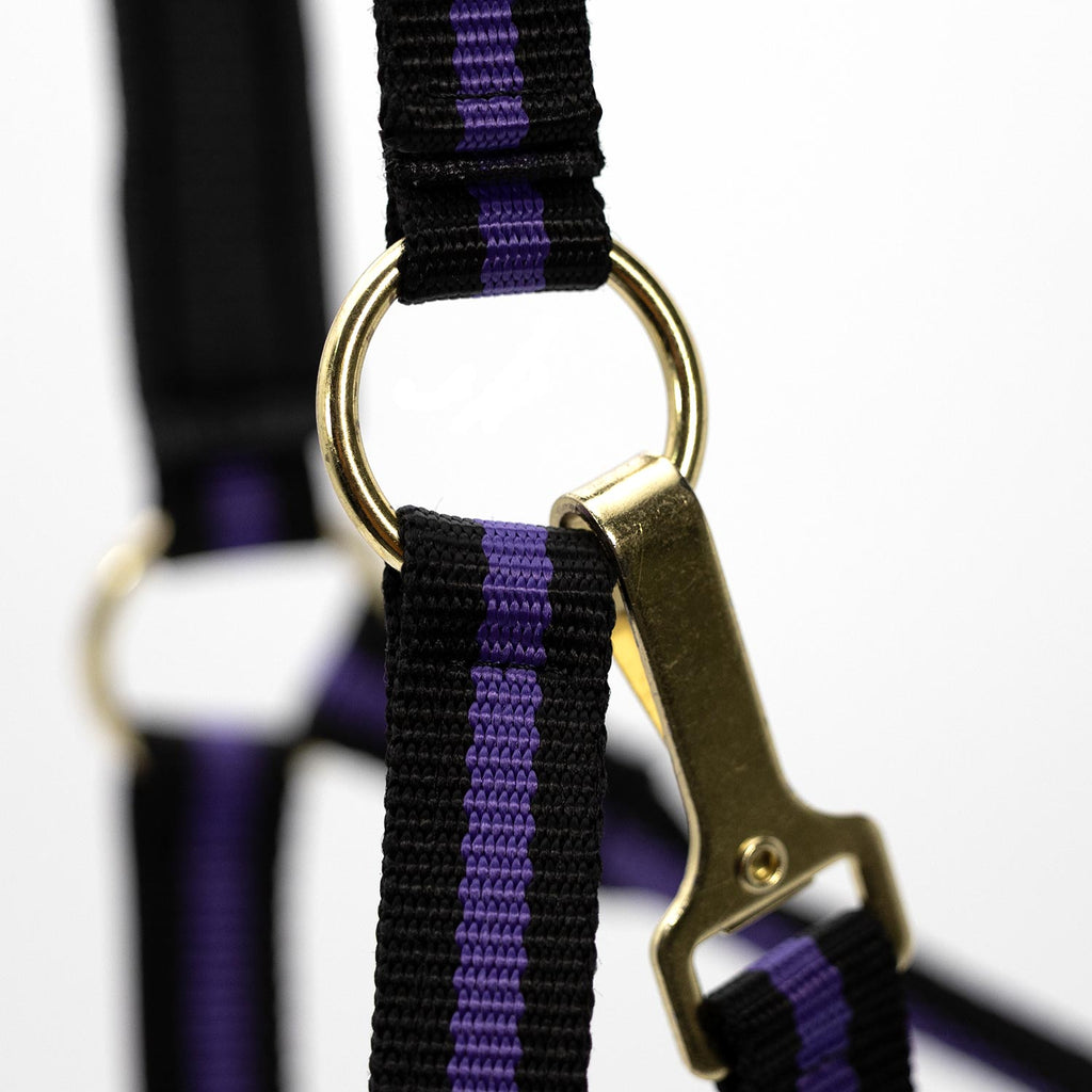 Jeffers Padded Nylon Horse Halter with Throat Snap