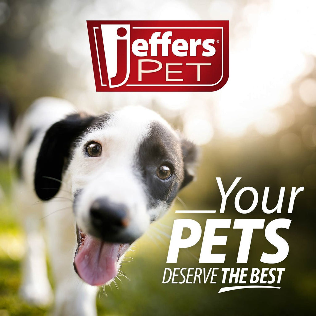 Jeffers Flat Leather Dog Leash with Hand Strap Handle, 6 Feet Long