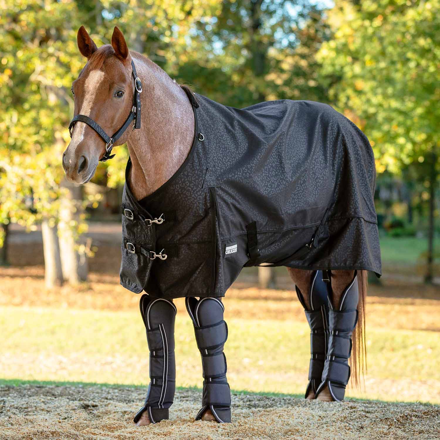 Jeffers Poplar Head Horse Shipping Boots, 4-Pack with Carry Bag