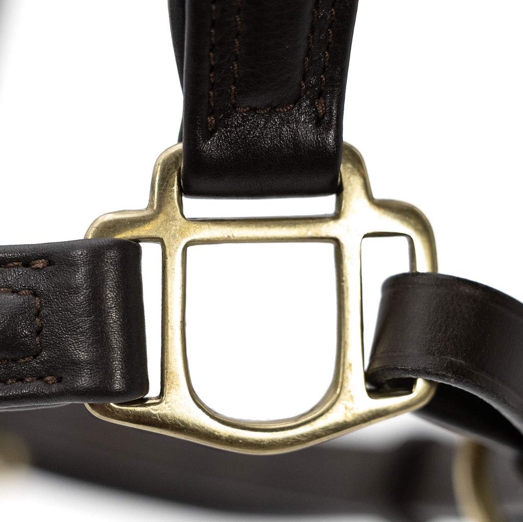 Jeffers Softie Padded Leather Halter for Horses