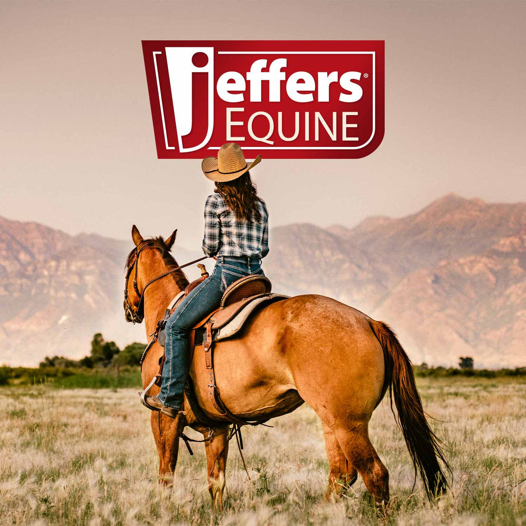 Jeffers Stainless Steel Sharp Grooming Scissors for Horses – Mane, Tail & Braiding Trimming Tool