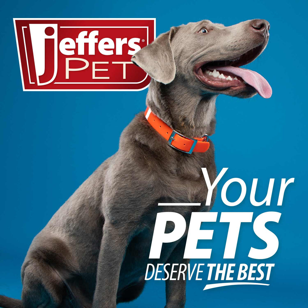 Jeffers Hypoallergenic Moisturizing Pet Shampoo for Sensitive Skin