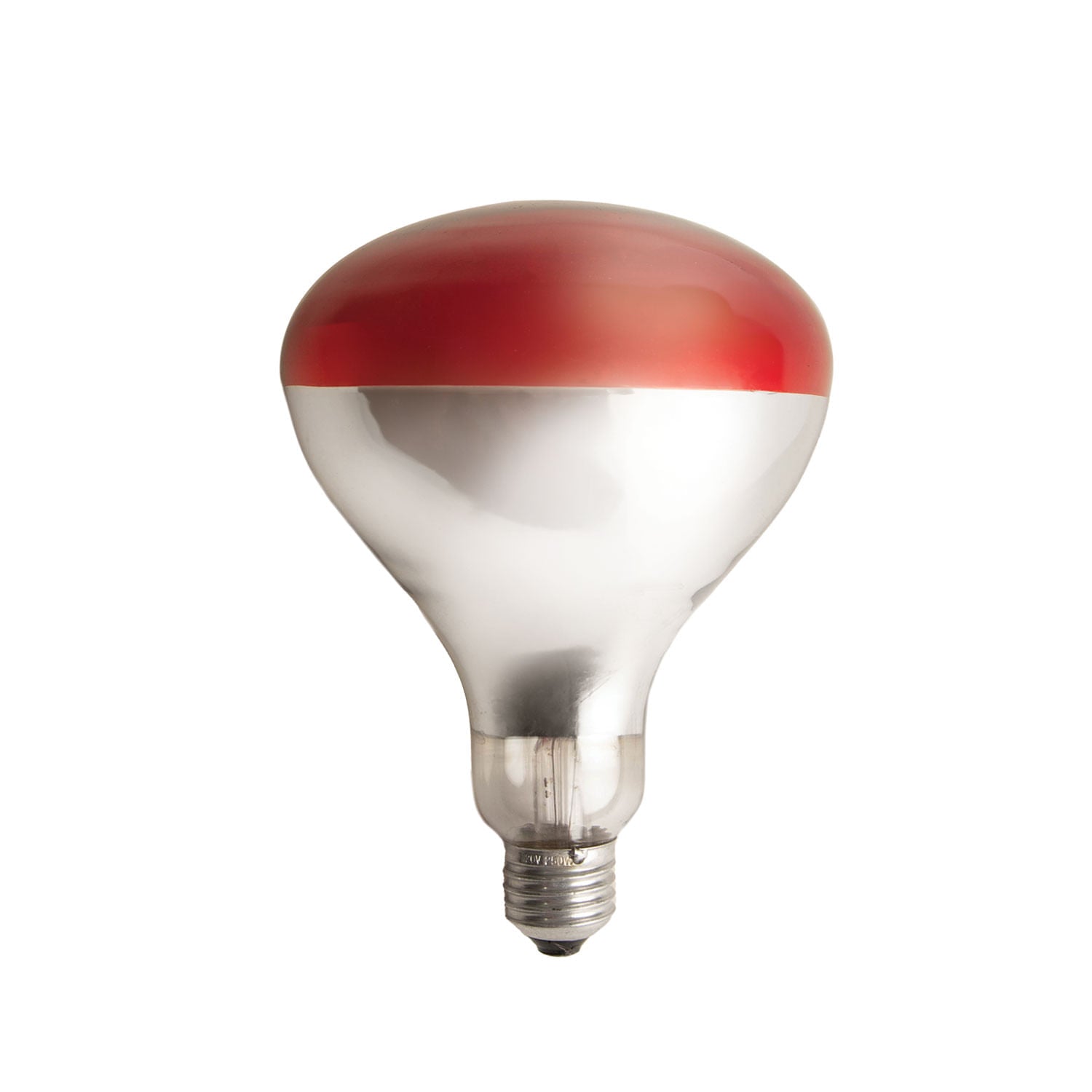 Clamp-On Brooder Heat Lamp for Chicks & Poultry - Compatible with 250W Red & Clear Heat Bulbs