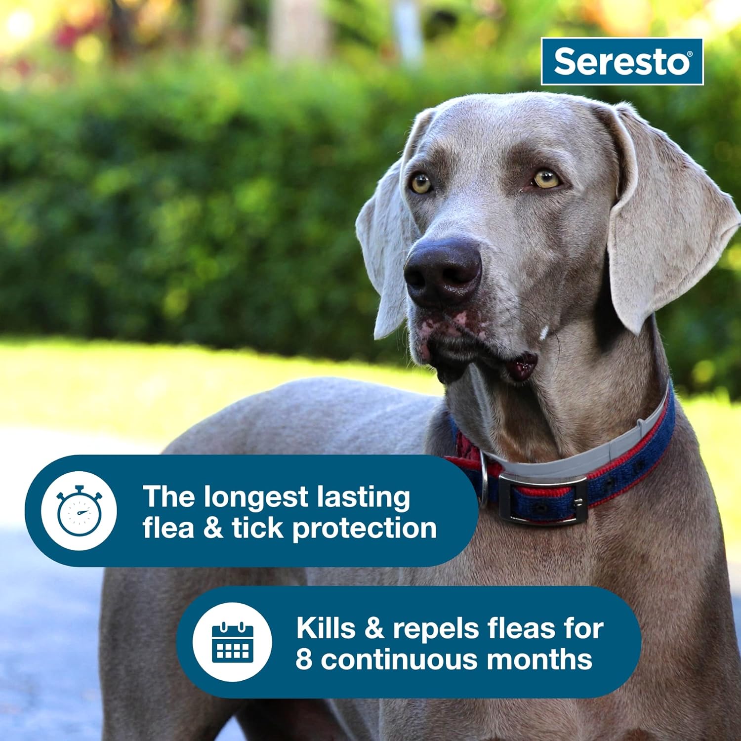 Seresto Flea & Tick Dog Collars